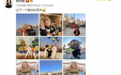 娱乐圈爆料30个瓜,揭秘明星背后的秘密与真相